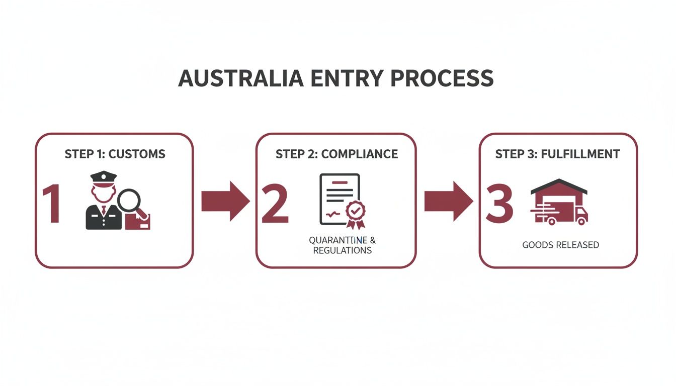 A diagram illustrating the 3-step Australia entry process: Customs, Compliance, and Fulfillment for goods.