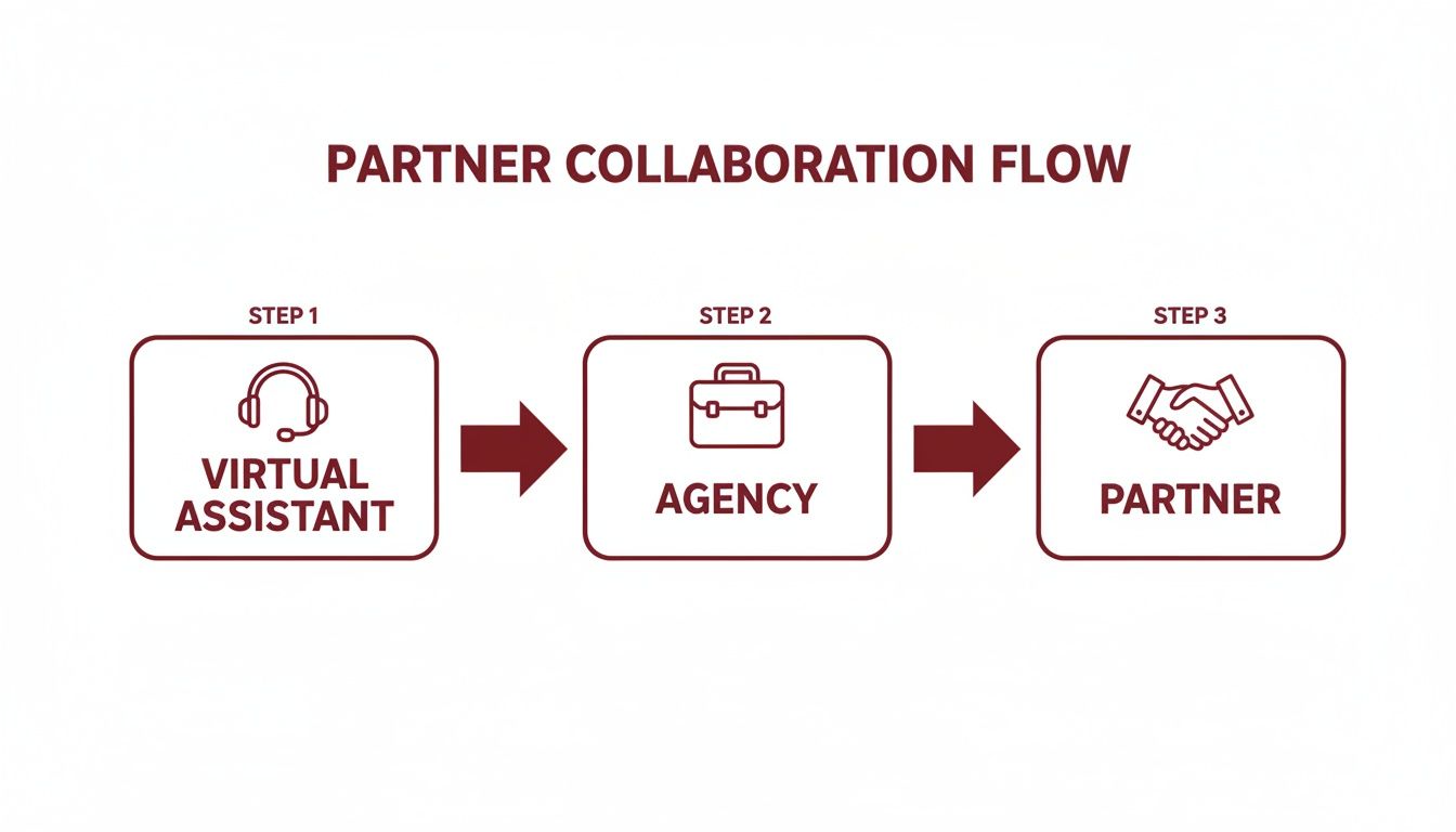 A three-step diagram illustrating the partner collaboration flow: Virtual Assistant, Agency, and Partner.