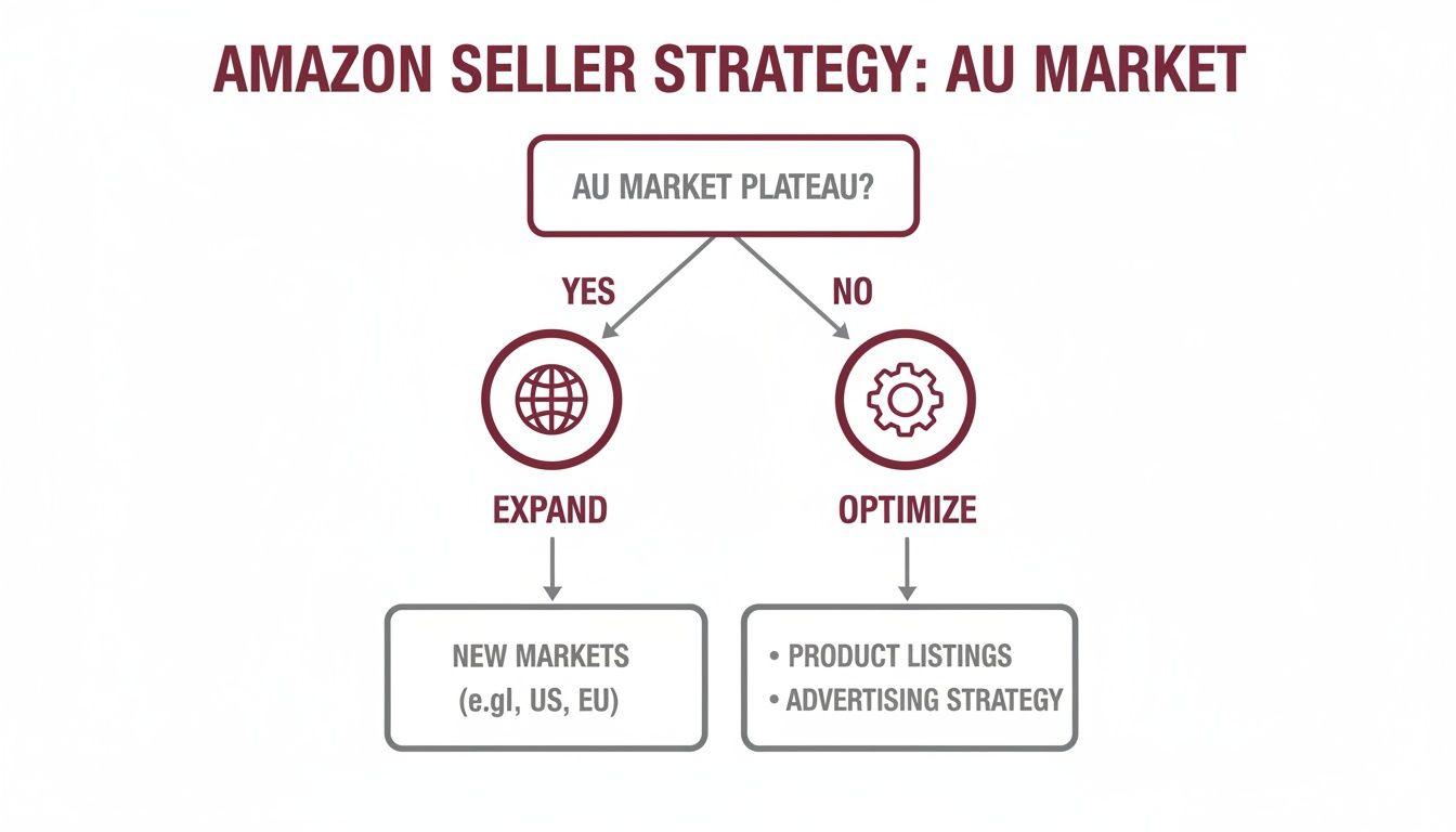 Flowchart outlining Amazon seller strategy for the AU market: expand to new markets if plateau, otherwise optimize listings and advertising.
