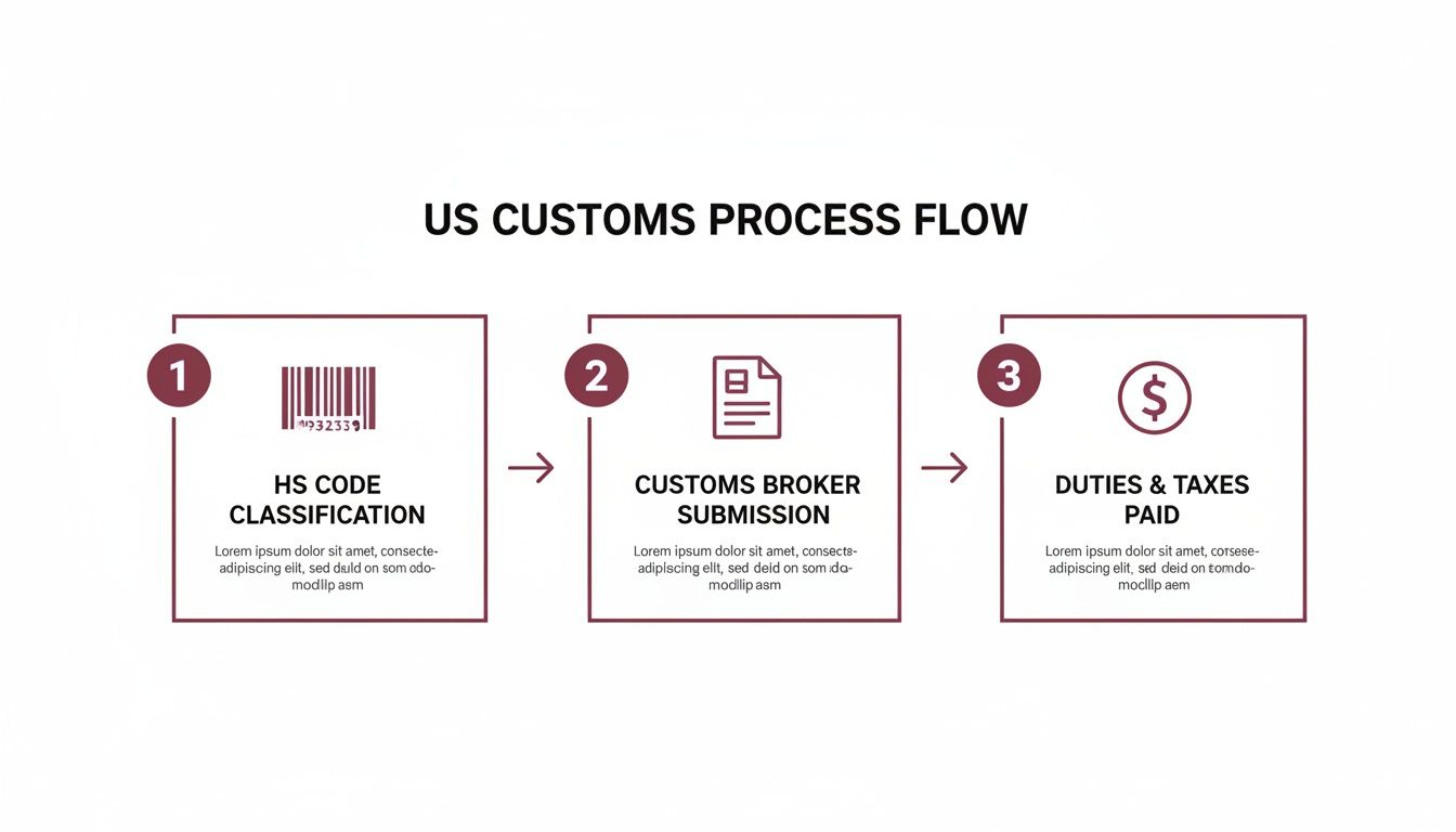 A three-step process flow for US Customs, detailing HS code classification, broker submission, and duties paid.