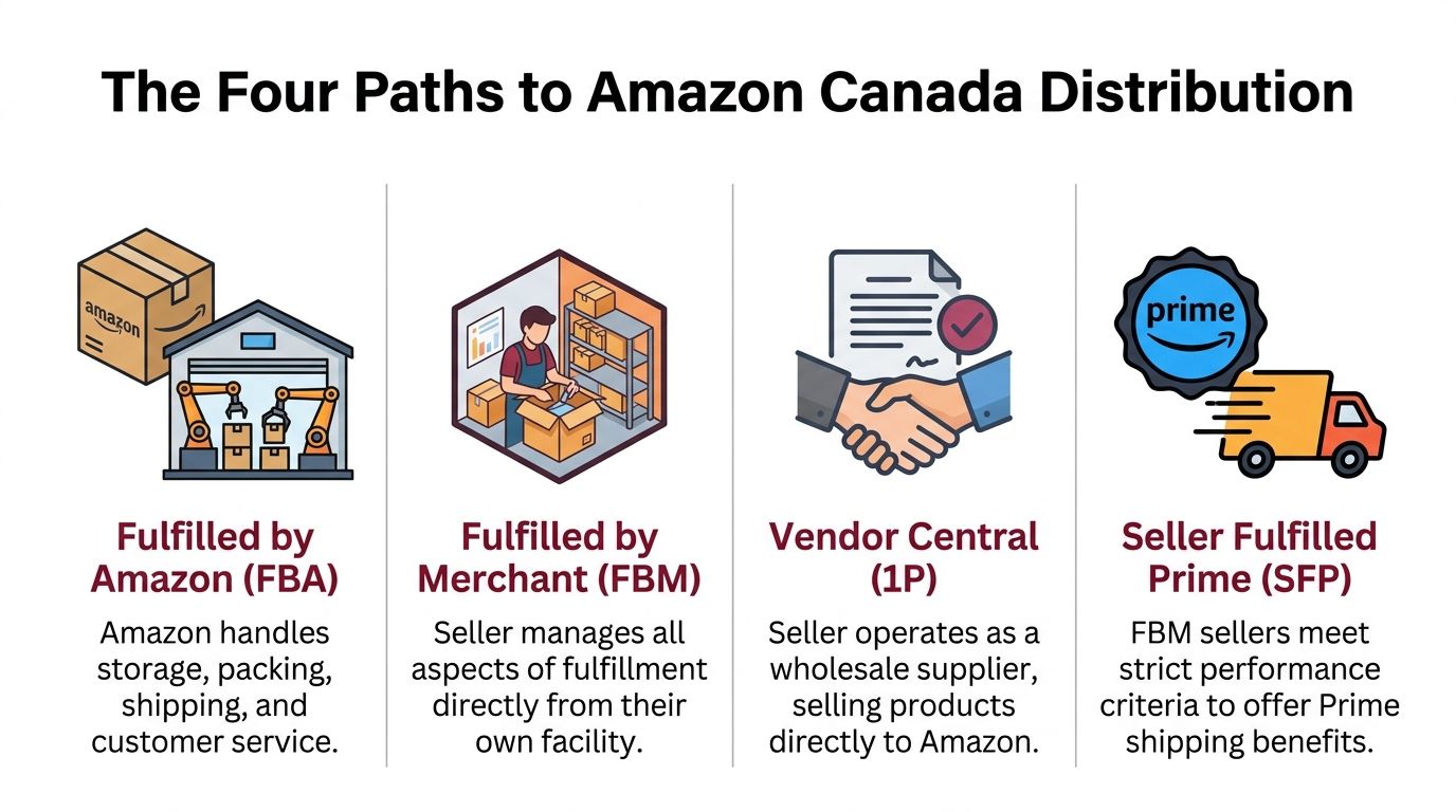 An infographic showing the four paths to Amazon Canada distribution, including FBA, FBM, Vendor Central, and SFP.