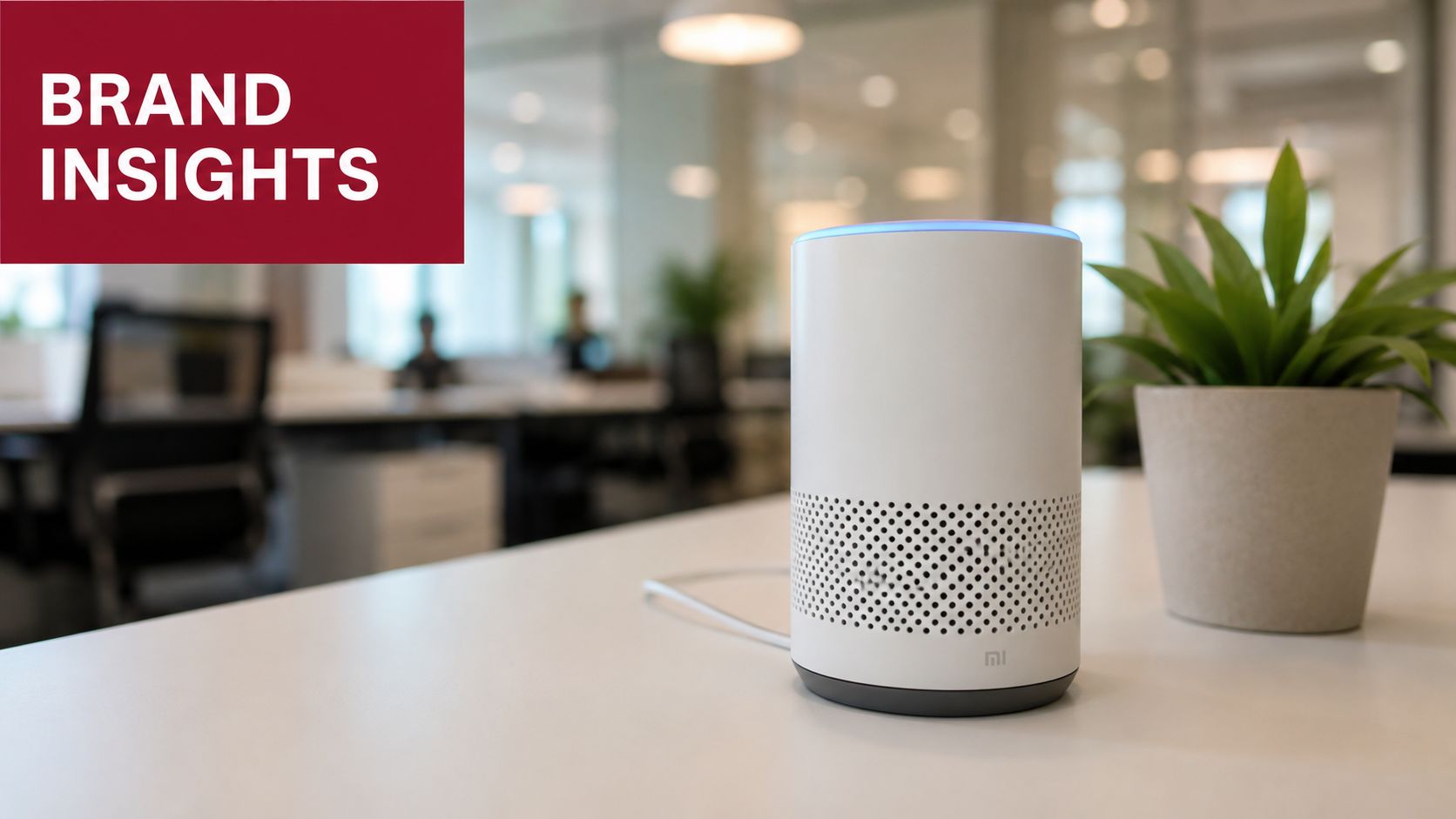 A white smart speaker sits on a modern office desk next to a potted green plant.