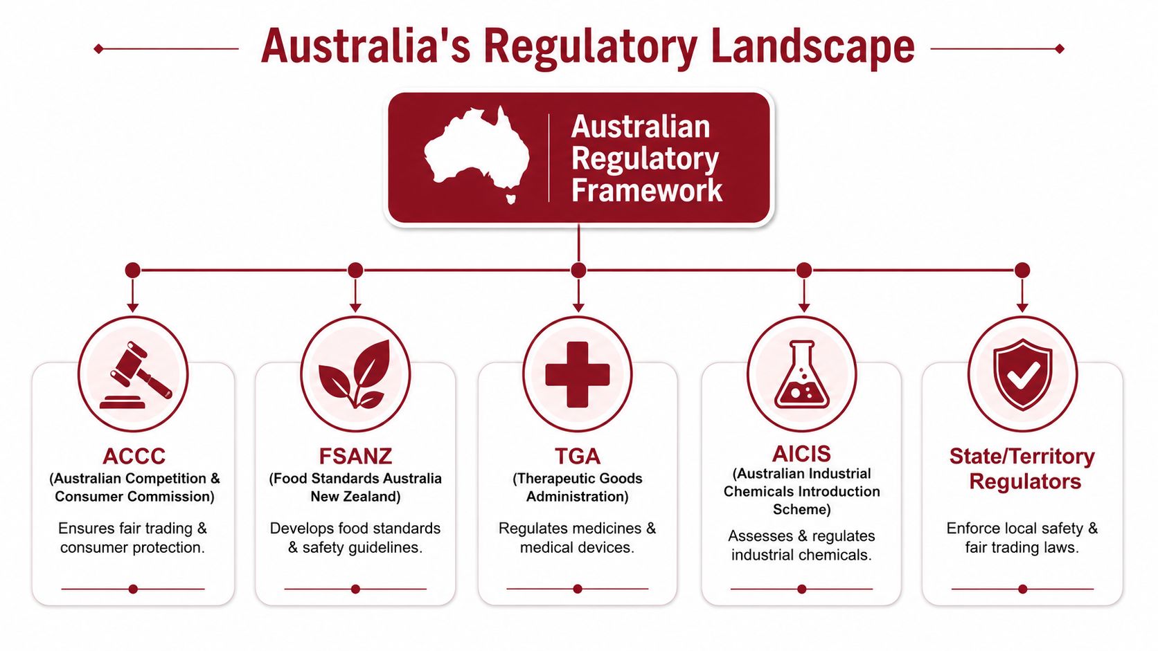 A diagram illustrating Australia's regulatory framework, highlighting key agencies like ACCC, FSANZ, TGA, AICIS, and state regulators.