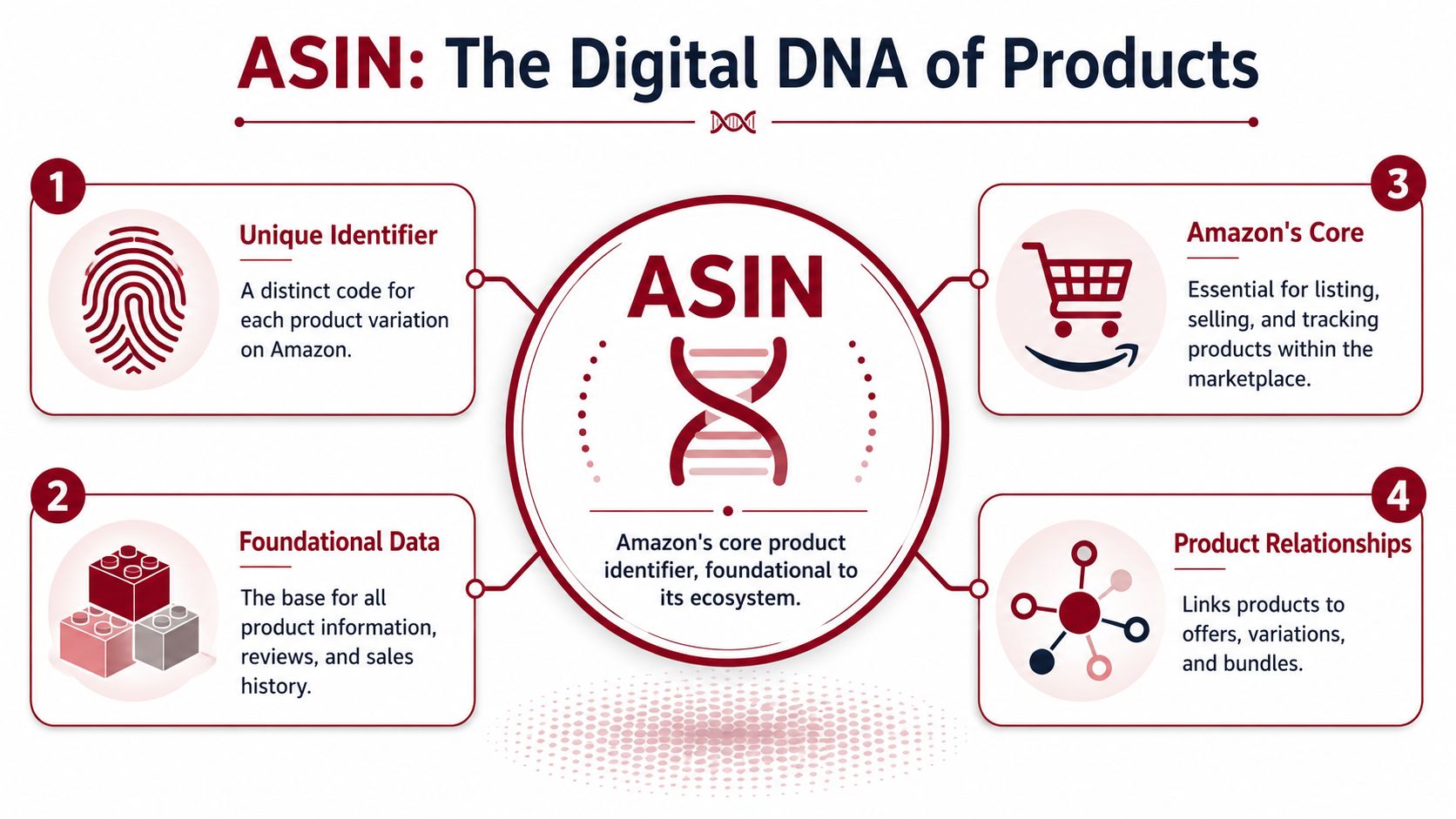 An infographic explaining that an ASIN is a unique product identifier used for tracking items on Amazon.